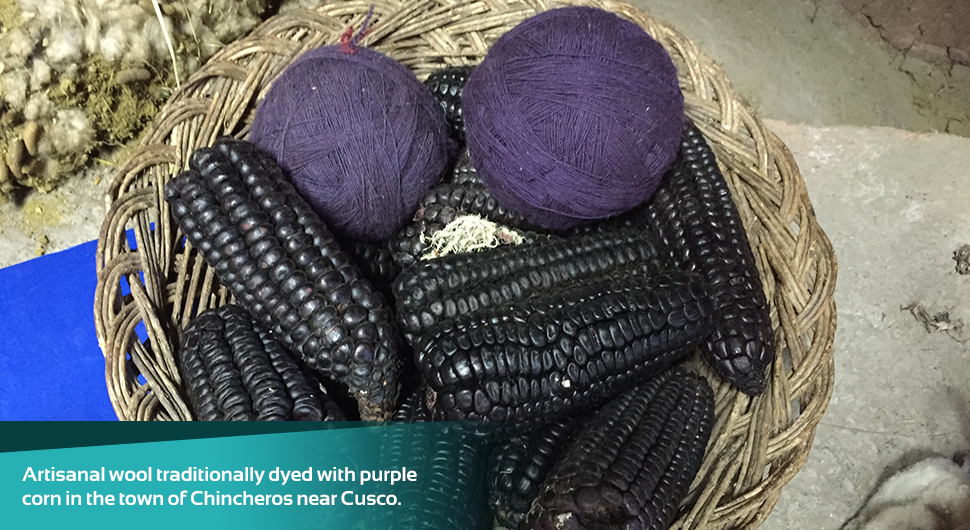 Artisanal wool traditionally dyed with purple corn in the town of Chinch